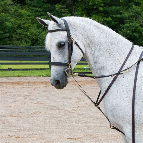 what is a martingale.